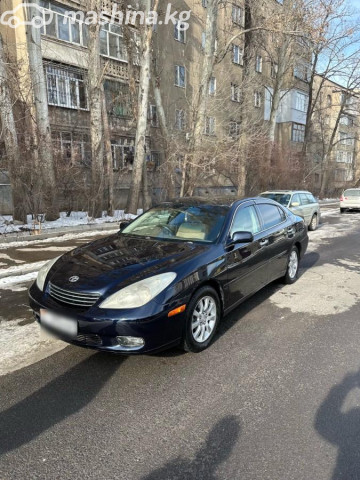 Toyota Windom