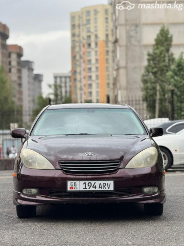 Toyota Windom