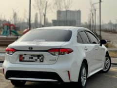 Фото авто Toyota Levin