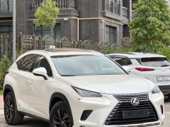 Сүрөт унаа Lexus NX