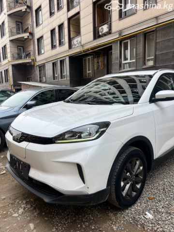 Weltmeister EX5
