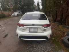 Фото авто Toyota Levin