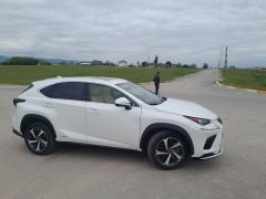 Сүрөт унаа Lexus NX