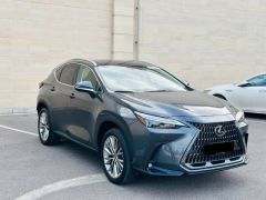 Сүрөт унаа Lexus NX