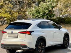 Сүрөт унаа Lexus NX