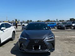 Фото авто Lexus NX