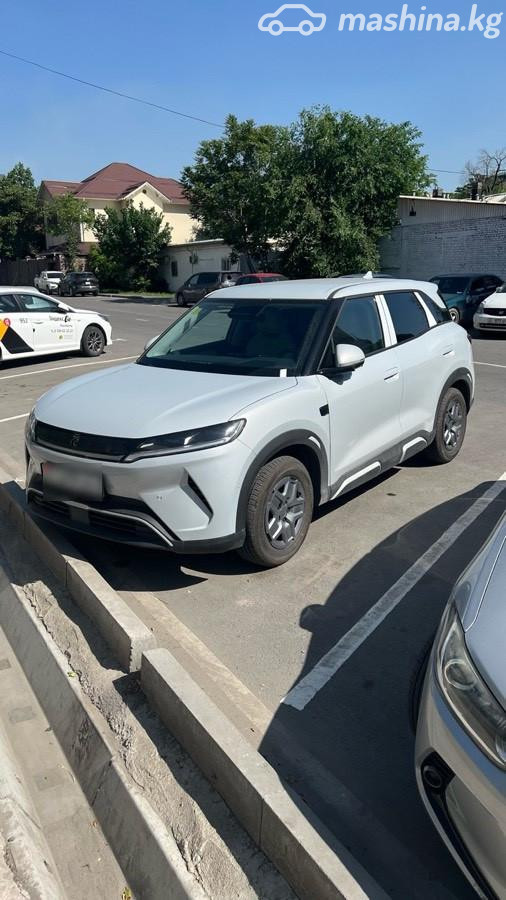BYD Yuan Up