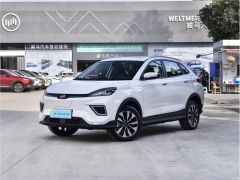 Фото авто Weltmeister EX5