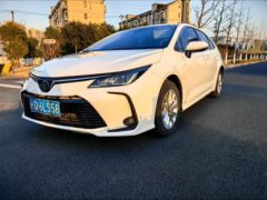 Фото авто Toyota Corolla