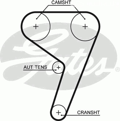 Spare Parts and Consumables - Ремень ГРМ 117x220H Ford Focus 1.4/1.6 16V 98>/Fiesta 1.25-16 16V 95> GATES