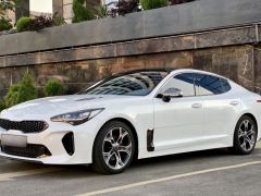 Фото авто Kia Stinger