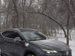 Фото авто Lexus NX