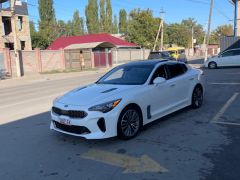 Фото авто Kia Stinger