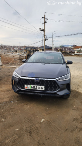 BYD E2