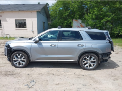 Сүрөт унаа Hyundai Palisade