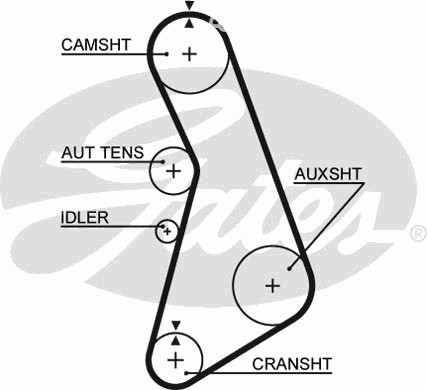 Авто тетиктер жана сарптоолору - Ремень Gates 5492XS