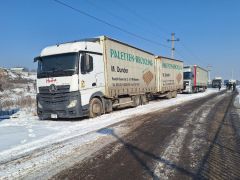 Фото авто Mercedes-Benz Actros