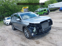 Сүрөт унаа Hyundai Palisade