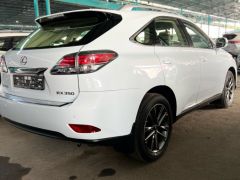 Сүрөт унаа Lexus RX