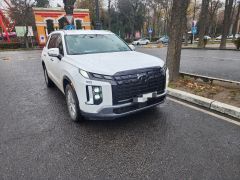 Сүрөт унаа Hyundai Palisade