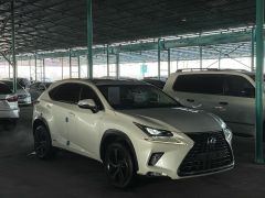 Сүрөт унаа Lexus NX