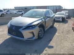 Сүрөт унаа Lexus RX