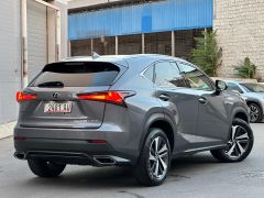 Сүрөт унаа Lexus NX