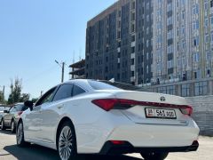 Фото авто Toyota Avalon