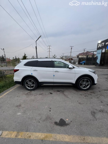 Hyundai Maxcruz