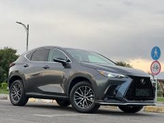 Сүрөт унаа Lexus NX