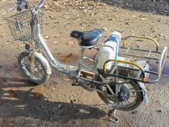 Сүрөт унаа Honda Bite 50