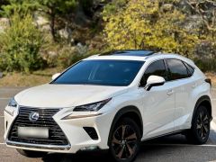 Сүрөт унаа Lexus NX