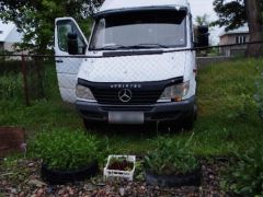 Фото авто Mercedes-Benz Sprinter