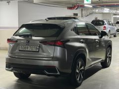 Сүрөт унаа Lexus NX