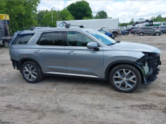 Сүрөт унаа Hyundai Palisade