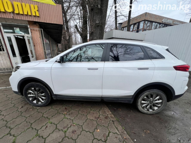 Weltmeister EX5