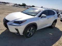 Сүрөт унаа Lexus NX