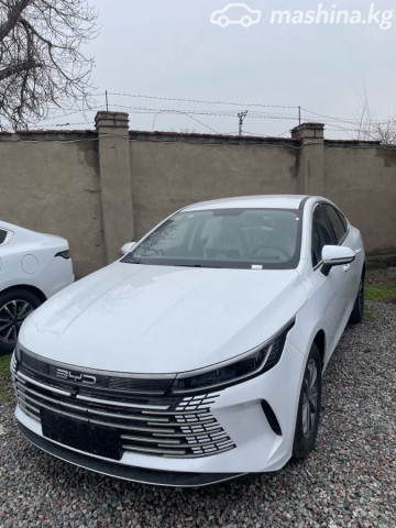 BYD Destroyer 05
