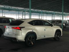 Сүрөт унаа Lexus NX