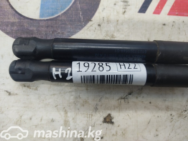 Spare Parts and Consumables - Амортизатор капота к-т (2шт), F10, 51237206644
