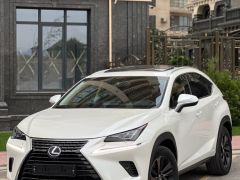 Сүрөт унаа Lexus NX