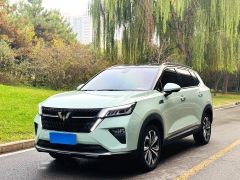 Сүрөт унаа Wuling Star Asta