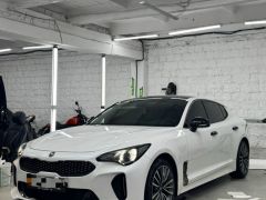 Фото авто Kia Stinger