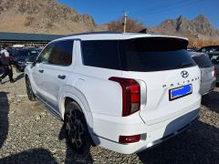 Сүрөт унаа Hyundai Palisade