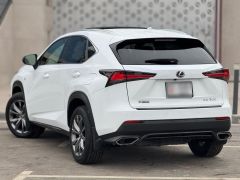 Сүрөт унаа Lexus NX