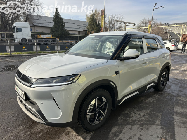 BYD Yuan Up
