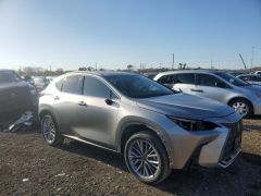 Сүрөт унаа Lexus NX