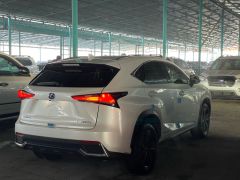 Фото авто Lexus NX