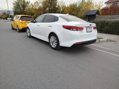 Сүрөт унаа Kia Optima