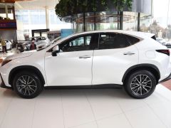 Сүрөт унаа Lexus NX